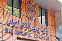 معامله ۵۱ همت محصول و کالا در بورس طی هفته گذشته