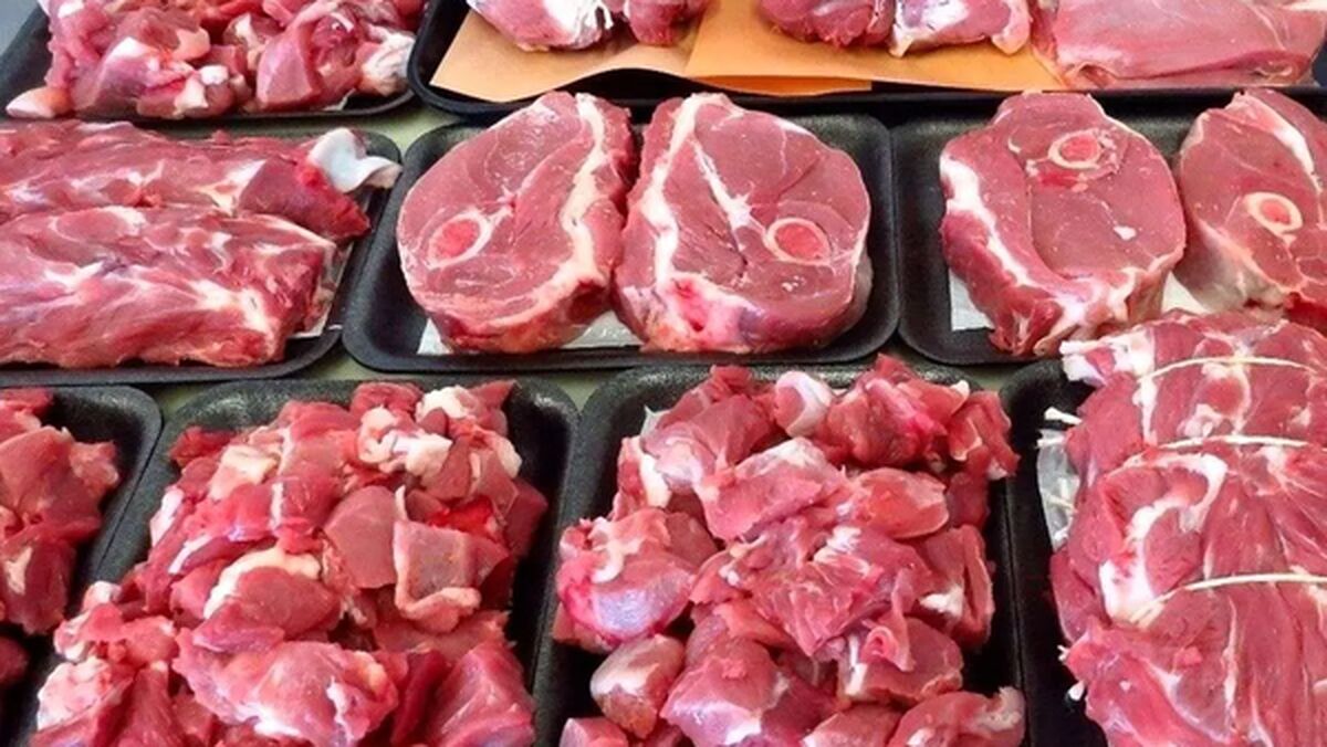 عرضه دام در میادین بالا رفت / گوشت ارزان شد
