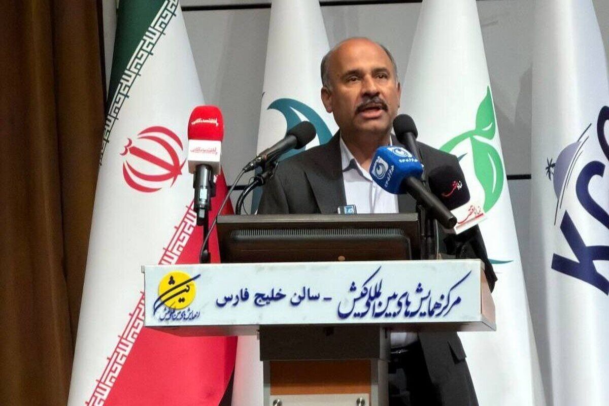 بدون تامین مالی، دستیابی به رشد ۸ درصدی امکان‌پذیر نیست
