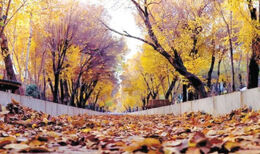 پاییز گرم در راه است؛ دمای کشور ۶ درجه بالاتر از سال گذشته