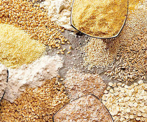 ۲ کشتی ۱۳۸ هزار تنی نهاده دامی در لنگرگاه در نوبت پهلو گیری هستند