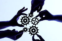 بیش از یک میلیارد نفر در جهان در ۳ میلیون تعاونی عضو هستند
