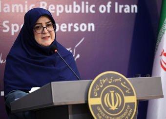 یارانه جدید در راه است؟/ سخنگوی دولت: تورم را انکار نمی‌کنیم

