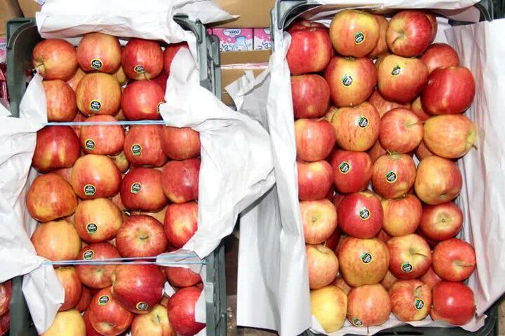 قیمت عمده‌فروشی میوه و سبزیجات تا ۲ فروردین اعلام شد+جدول
