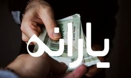 یارانه نقدی آنلاین شد/ ثبت اطلاعات خانوار در سامانه سیمین اجباری است

