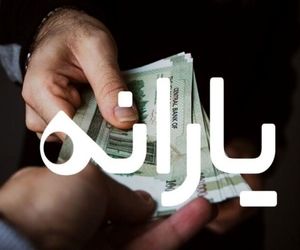 یارانه نقدی آنلاین شد/ ثبت اطلاعات خانوار در سامانه سیمین اجباری است

