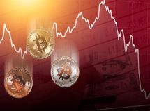 افزایش نرخ بهره در ژاپن؛ عامل اصلی ریزش سنگین رمزارزها؟