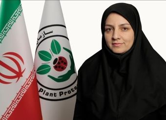 توافق ایران و ازبکستان برای تقویت تجارت محصولات کشاورزی
