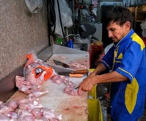 کاهش قیمت مرغ در بازار / هر کیلو مرغ گرم ۲۱۰ هزار تومان شد