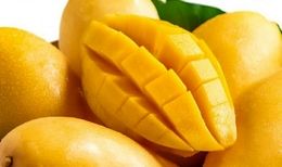 واردات انبه از کنیا مجاز شد
