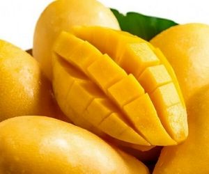 واردات انبه از کنیا مجاز شد
