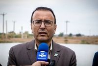 معاون وزیرجهاد: محموله گوشت آلوده مغولستان این هفته تعیین تکلیف می‌شود
