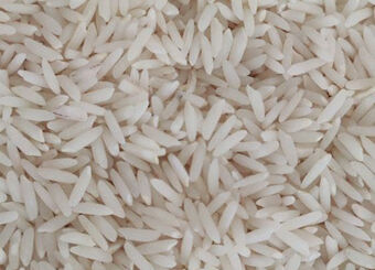 آغاز ثبت‌ سفارش جدید برنج