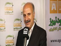 حذف ارز ترجیحی، مصرف لبنیات را کاهش داد
