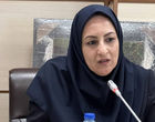 تولید 195 هزار تن قارچ خوراکی تا پایان امسال
