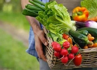 جهان برای تامین امنیت غذایی چاره‌ای جز پذیرش تراریخته‌ها ندارد
