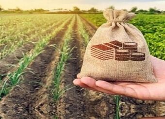۲۵۰ میلیارد تومان غرامت بیمه آبزیان پرداخت شد
