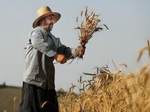 ۷۰ هزار میلیارد تومان طلب گندمکاران تا پایان مهر واریز می‌شود