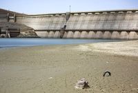 زور وزیر نیرو به نکاشتن چمن می رسد؟!
