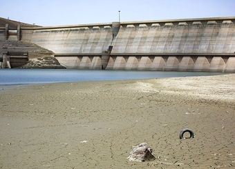 زور وزیر نیرو به نکاشتن چمن می رسد؟!
