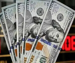 قیمت دلار بالای ۲۶۸ هزار تومان رفت / قیمت دلار امروز شنبه ۱۸ مهر ۱۴۰۵

