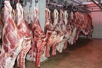 تامین پایدار گوشت، مرغ، لبنیات و تخم مرغ