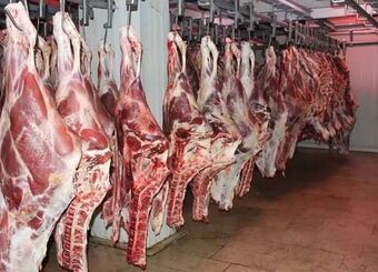 تامین پایدار گوشت، مرغ، لبنیات و تخم مرغ