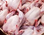 قیمت گوشت مرغ؛ امروز ۱۴ مرداد 