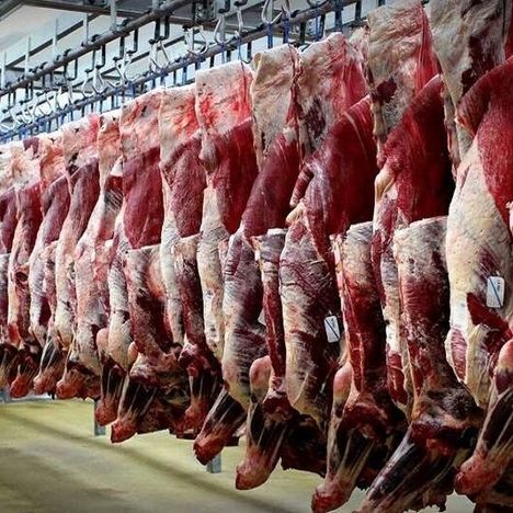 افزایش ۲۸ درصدی تولید گوشت قرمز/ تهران قطب اصلی تولید گوشت کشور
