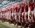 افزایش ۲۸ درصدی تولید گوشت قرمز/ تهران قطب اصلی تولید گوشت کشور
