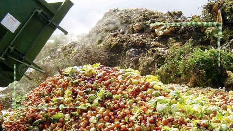 وزیر جهاد: صادرات کشاورزی ۳۵ درصد رشد کرد