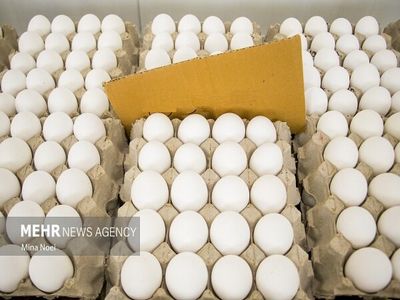 صعود قیمت تخم‌مرغ به ۵۰ هزار تومان