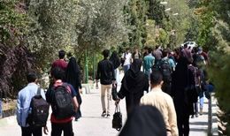 هر چه با سوادتر بیکارتر؛ ۵۱ درصد بیکاران، فارغ‌التحصیلان دانشگاه هستند
