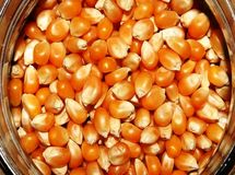 ۹۰هزار تن ذرت در قالب گواهی سپرده کالایی عرضه شد