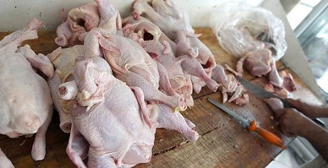 دولت سرگرم انتخابات است، از گرانیها خبر ندارد