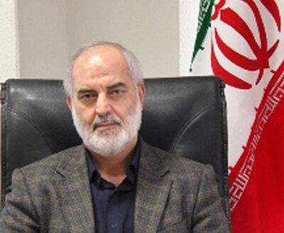 نوابی: به سازمان حمایت افترا و حرفهای ناروا زده می‌شود/ در مباحث کارشناسی کم می‌آورند