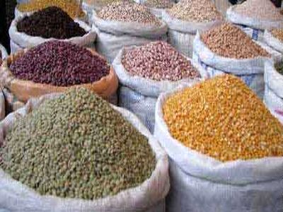 واردات حبوبات به صرفه است/ ایران بزرگترین واردکننده عدس از کاناداست/ حبوبات 10 تا 15 درصد گران شد