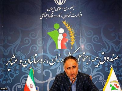 مدیر عامل صندوق بیمه کشاورزان، سکاندار بانک توسعه تعاون می‌شود