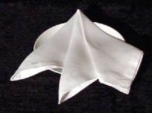 دولت یازدهم 27 تن دستمال مرطوب از یونان و لهستان وارد کرد/ امارات هم در لیست صادرکنندگان دستمال به ایران قرار گرفت!