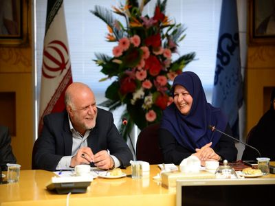 کاهش 60 درصدی سود یکی از قدیمی‌ترین پتروشیمی‌های کشور در دولت یازدهم!