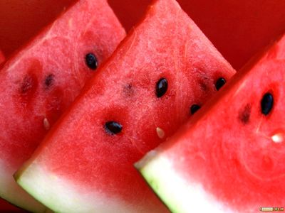 تولید اضافی، گوجه فرنگی را ارزان کرد/ قیمت هندوانه شب یلدا تغییری نمیکند