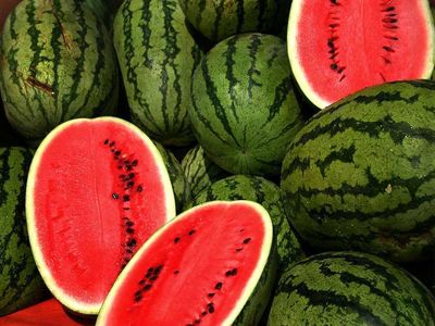 رئیس اتحادیه میوه و سبزی: هیچ فروشنده‌ای حق ندارد هندوانه را بالاتر از 1100 تومان بفروشد
