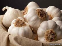 سیر 15 هزار تومان گران شد/ گوجه 3500 تومان شد/ مردم به دلیل گرانی، میوه نمی‌خرند