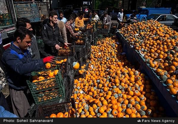 سیب و خیار زیاد، اما نارنگی کم است!