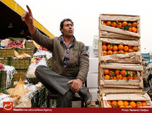 گرانی بیسابقه میوه در ساعات پایانی سال 95/ قیمت سیب به ۱۱۵۰۰تومان رسید!