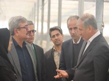 آثار خشکسالی و ناترازی انرژی؛ کاهش ۳۴ درصدی تولید گندم در سمنان
