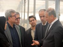 آثار خشکسالی و ناترازی انرژی؛ کاهش ۳۴ درصدی تولید گندم در سمنان
