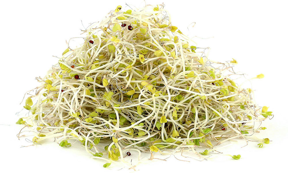 قیمت جوانه مخلوط سالادی چقدر است؟