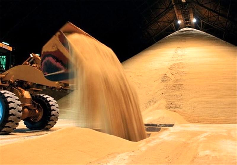 امسال تولید شکر 20 درصد کاهش یافت/ قبلا به دولت هشدار داده بودیم