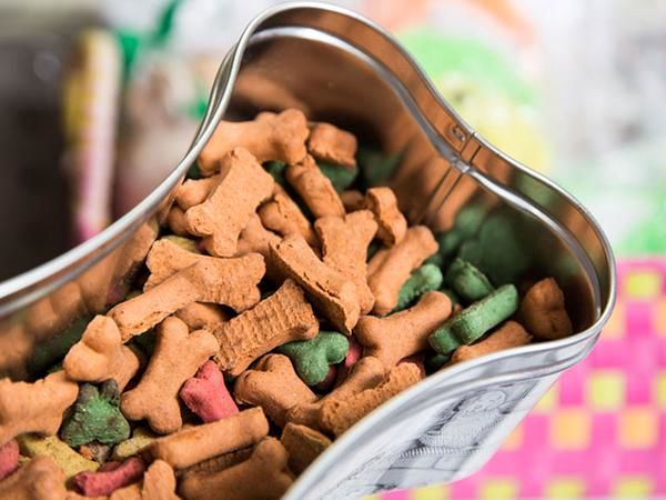 واردات ۷/۱ میلیون دلار غذای سگ و گربه با دلار دولتی